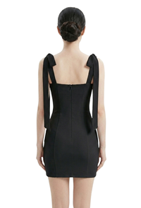 The Miravelle Mini Dress