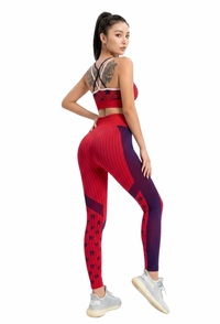 The Stellar Edge Legging